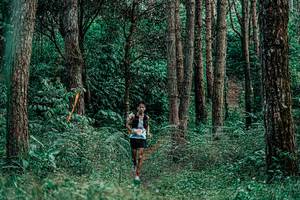 BIB: 
                            <button type="button" onclick="openModal(25235969)" class="btn btn-primary btn-sm float-right btn-popup" data-toggle="modal" data-target=".modal-high-quality">
                        <i class="fas fa-shopping-cart"></i> Add to Cart
                    </button>
                                            <button type="button" onclick="isThisMe(25235969, true)" class="btn btn-success btn-sm float-right btn-popup btn-isme hidden" data-toggle="tooltip" data-placement="bottom" title="นี่คือรูปของคุณใช่ไหม คลิกที่นี่เพื่อเอาเข้าอัลบั้ม">
                        <i class="fas fa-plus"></i> Add to album
                    </button>
                    <button type="button" onclick="isThisMe(25235969, false)" class="btn btn-warning btn-sm float-right btn-popup btn-isnotme hidden">
                        <i class="fas fa-ban"></i> Remove from album
                    </button>